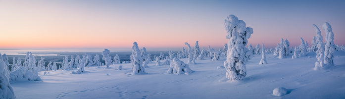panoramic-3-piece-canvas-print-frosty-beauty-in-the-finnish-winter