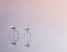 modern-4-piece-canvas-print-serenity-3