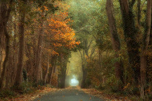 acrylic-print-country-road-x
