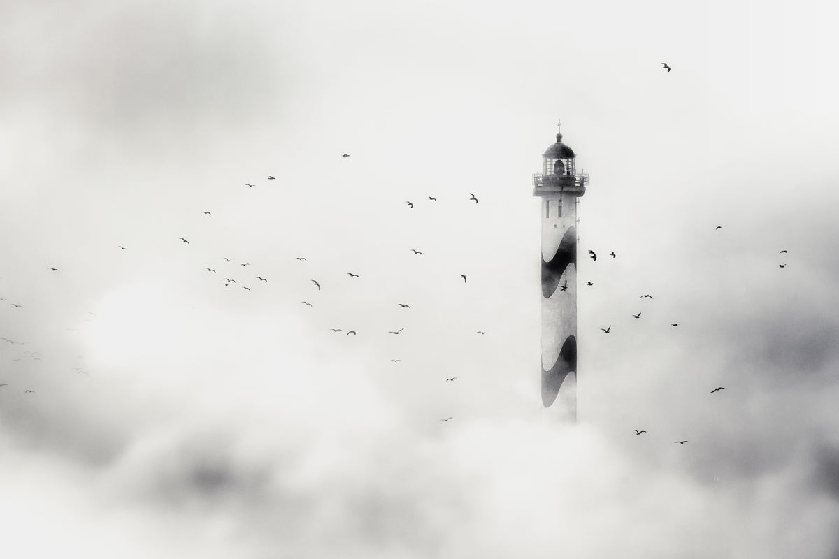 canvas-print-the-fog