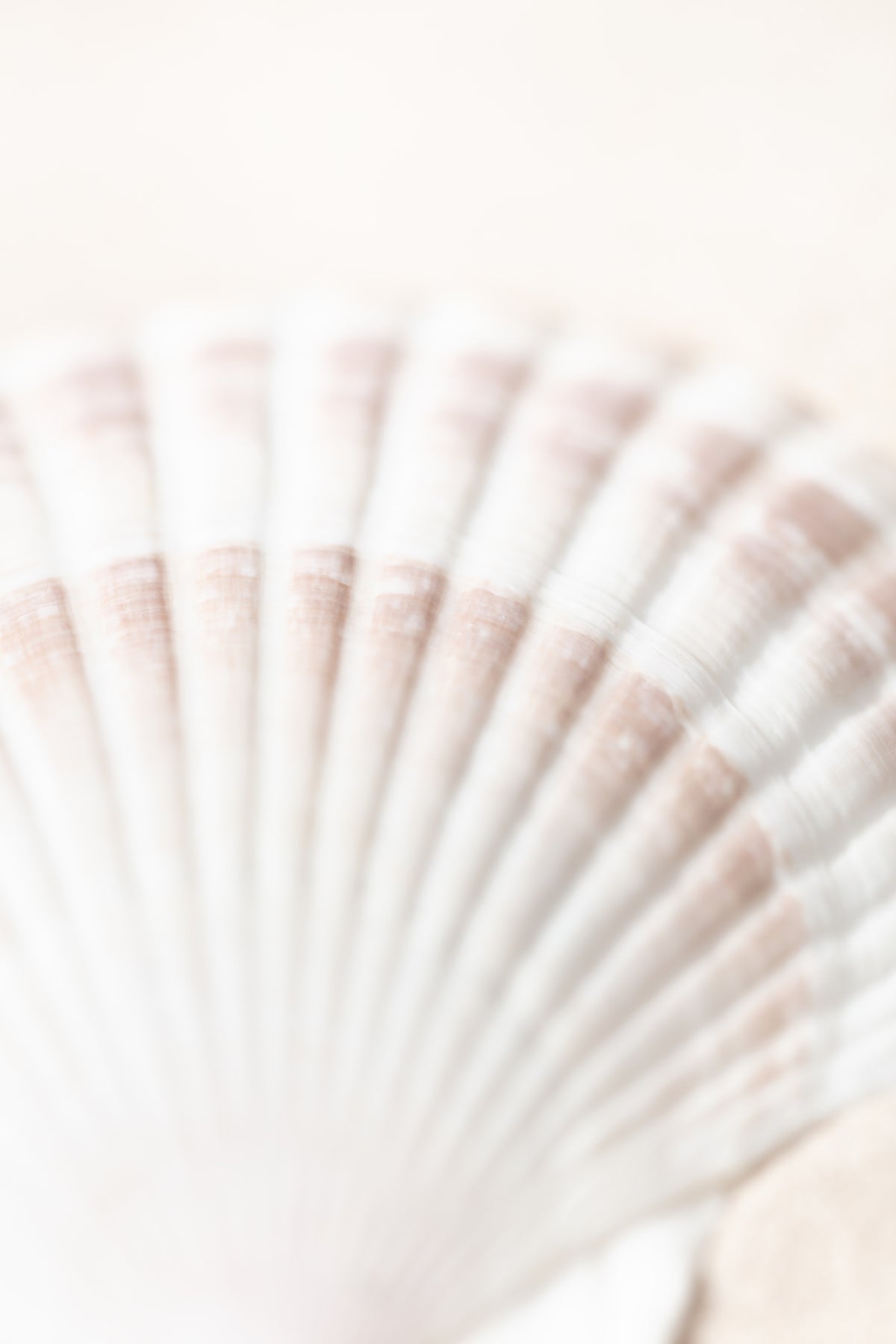 acrylic-print-shell