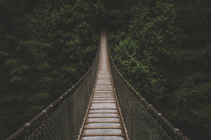 framedposter-print-exciting-bridge
