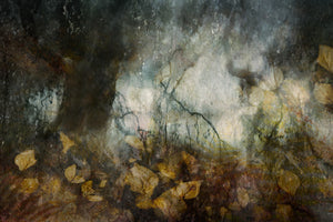 3-piece-acrylic-print-autumn-3