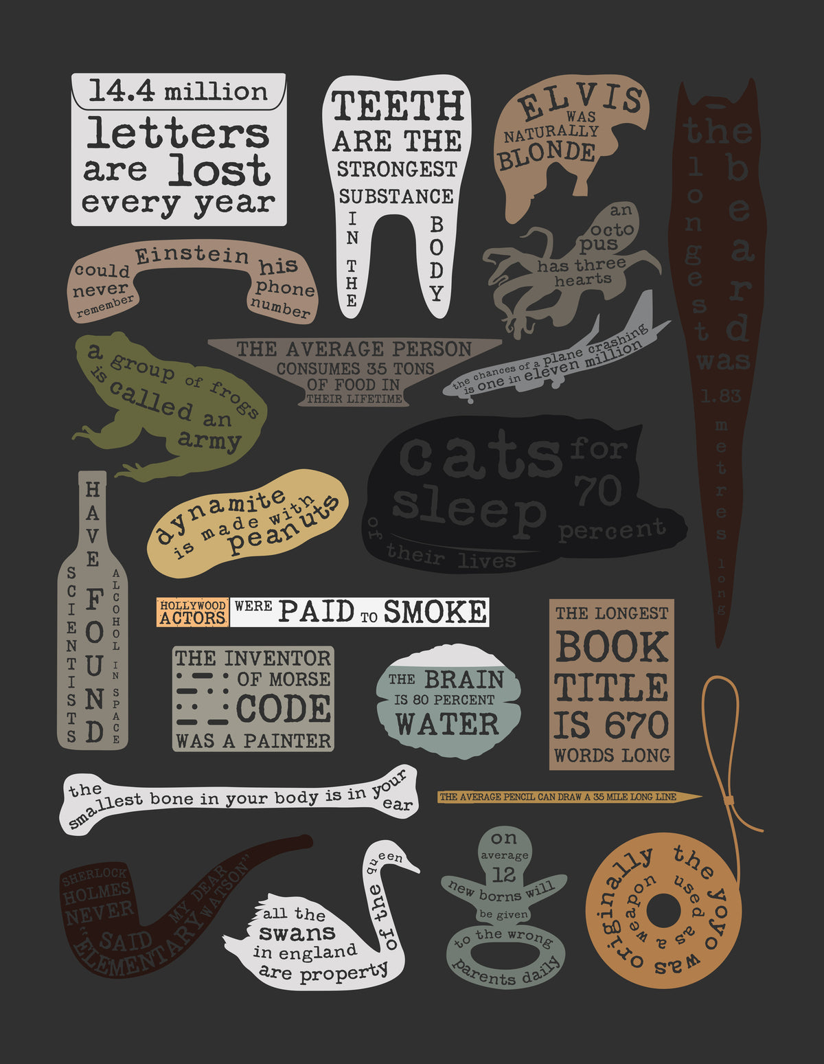 framedposter-print-useful-facts