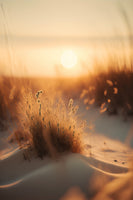 canvas-print-golden-dune-whisper