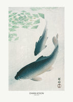 acrylic-print-carp-or-koi