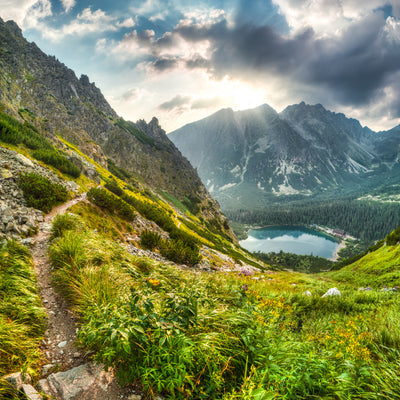 poster-print-mountain-views