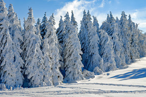 3-piece-canvas-print-beautiful-winter-landscape