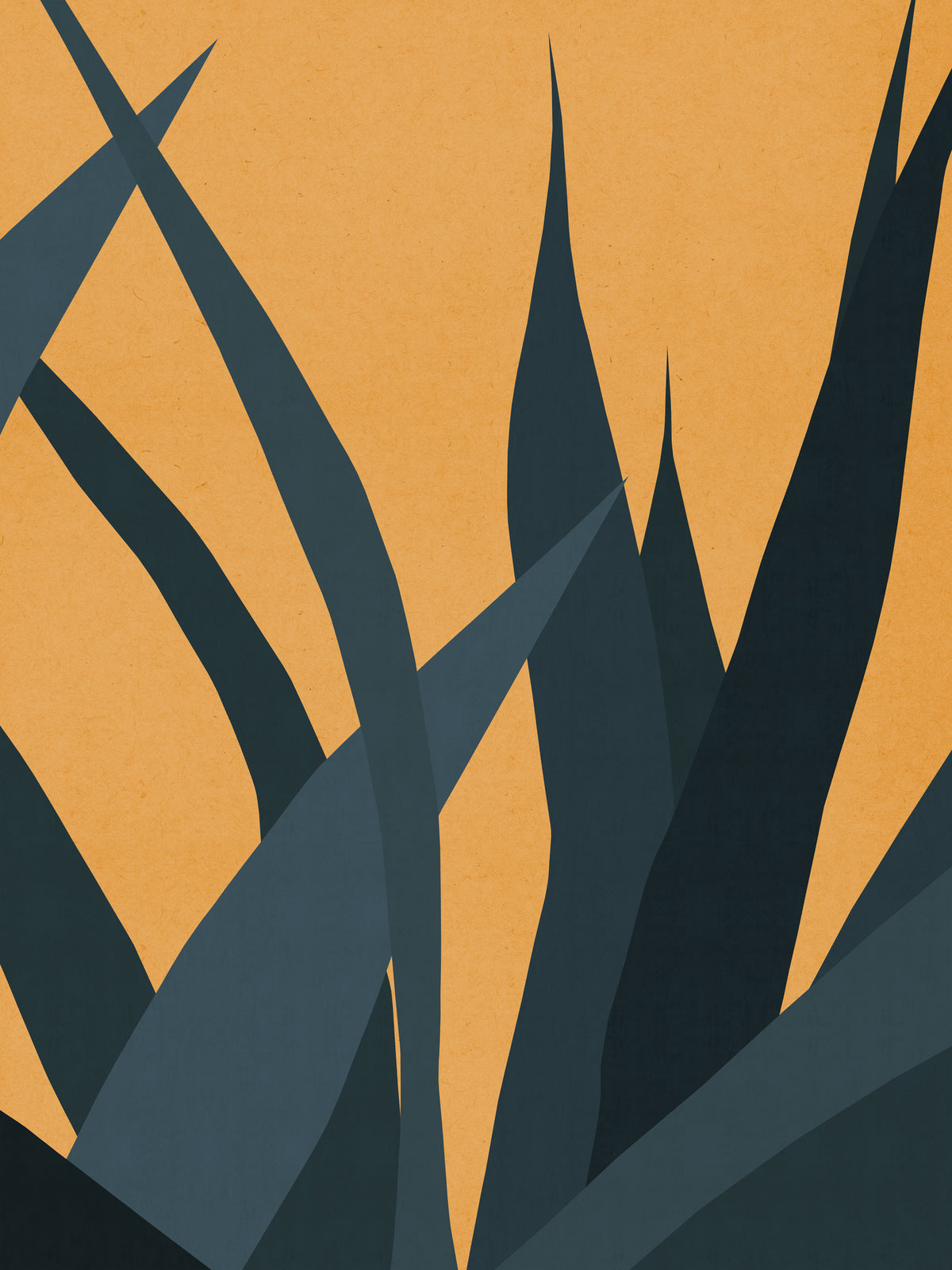 framedposter-print-cactus-5