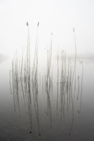 canvas-print-silence