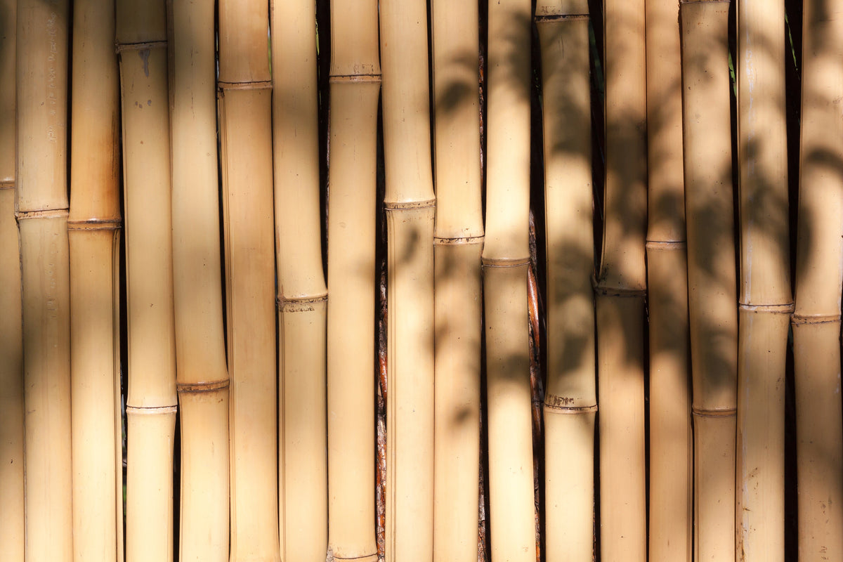 3-piece-acrylic-print-natural-bamboo
