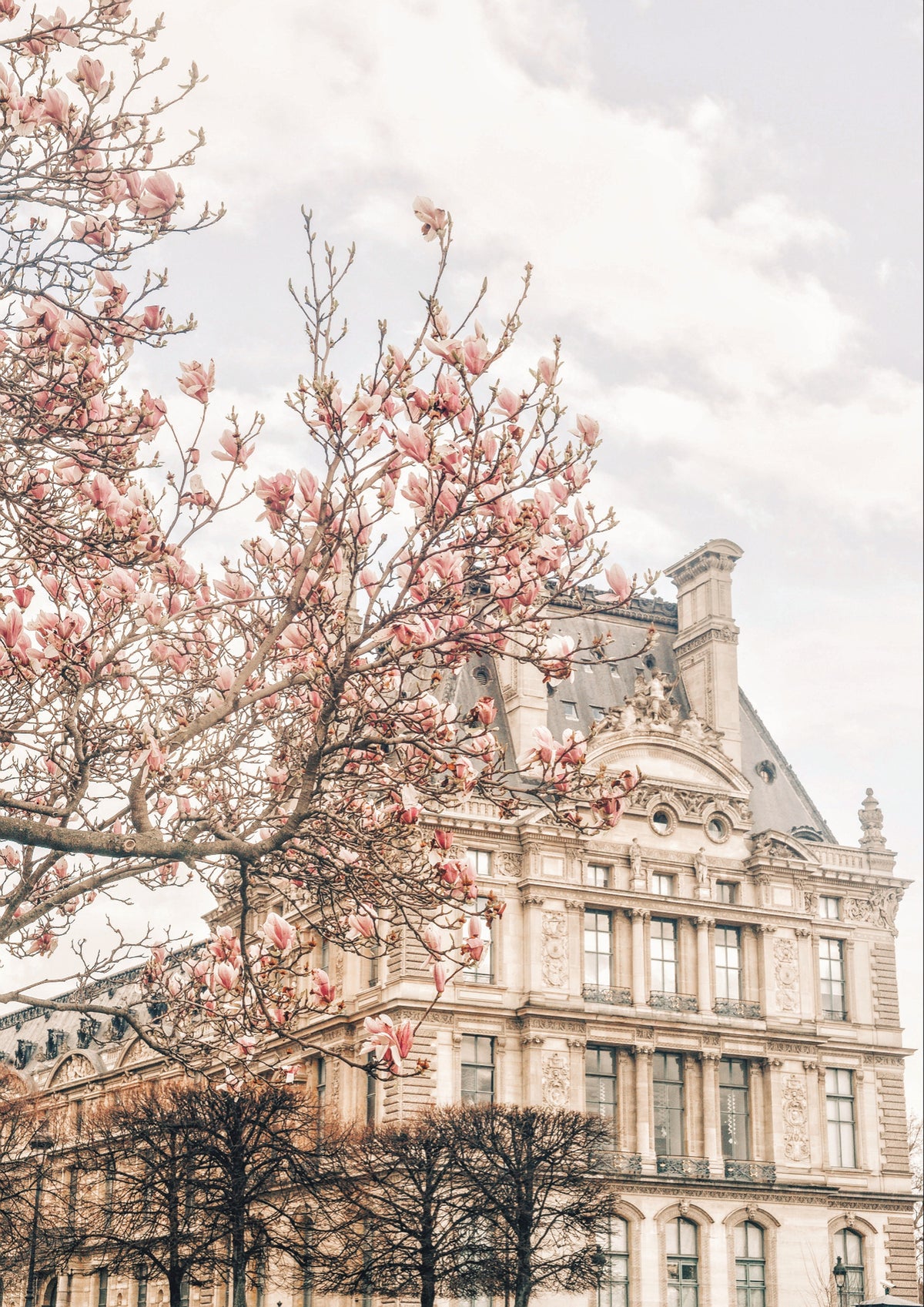 framedcanvas-print-magnoliaparis