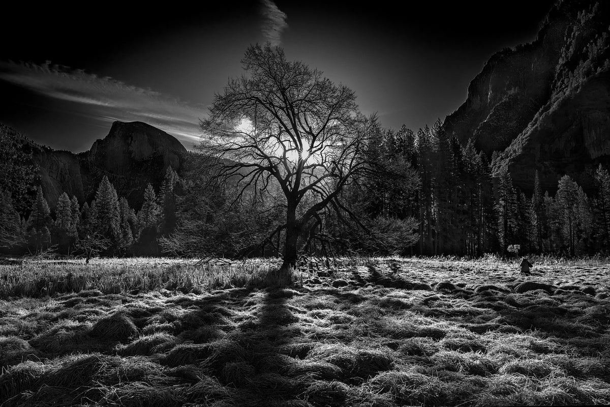 3-piece-aluminium-print-the-winter-spirit