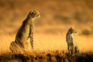 acrylic-print-mum-and-son-x