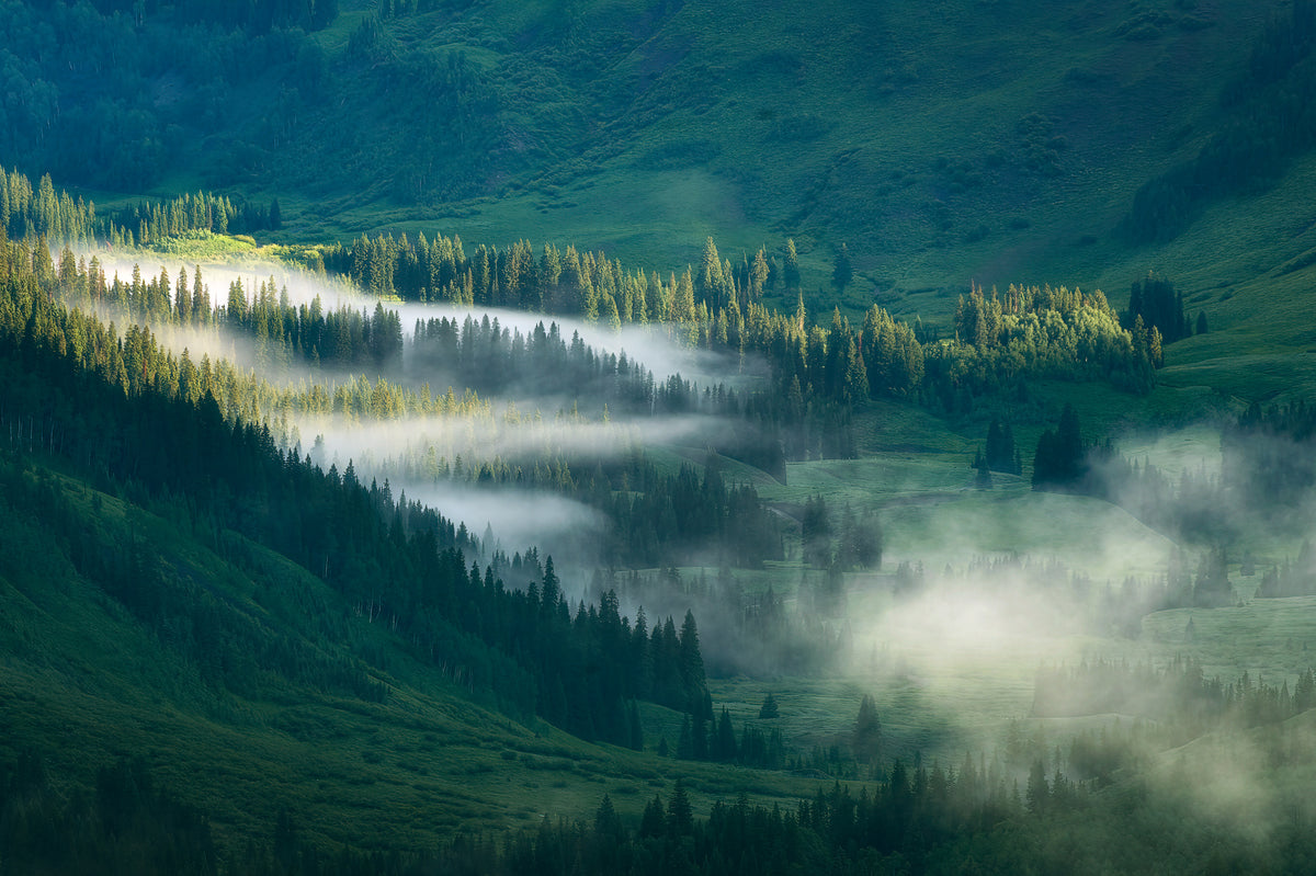 3-piece-canvas-print-foggy-valley