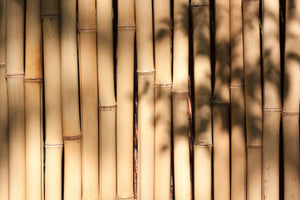 acrylic-print-natural-bamboo