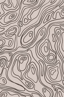 acrylic-print-flowing-contours-2