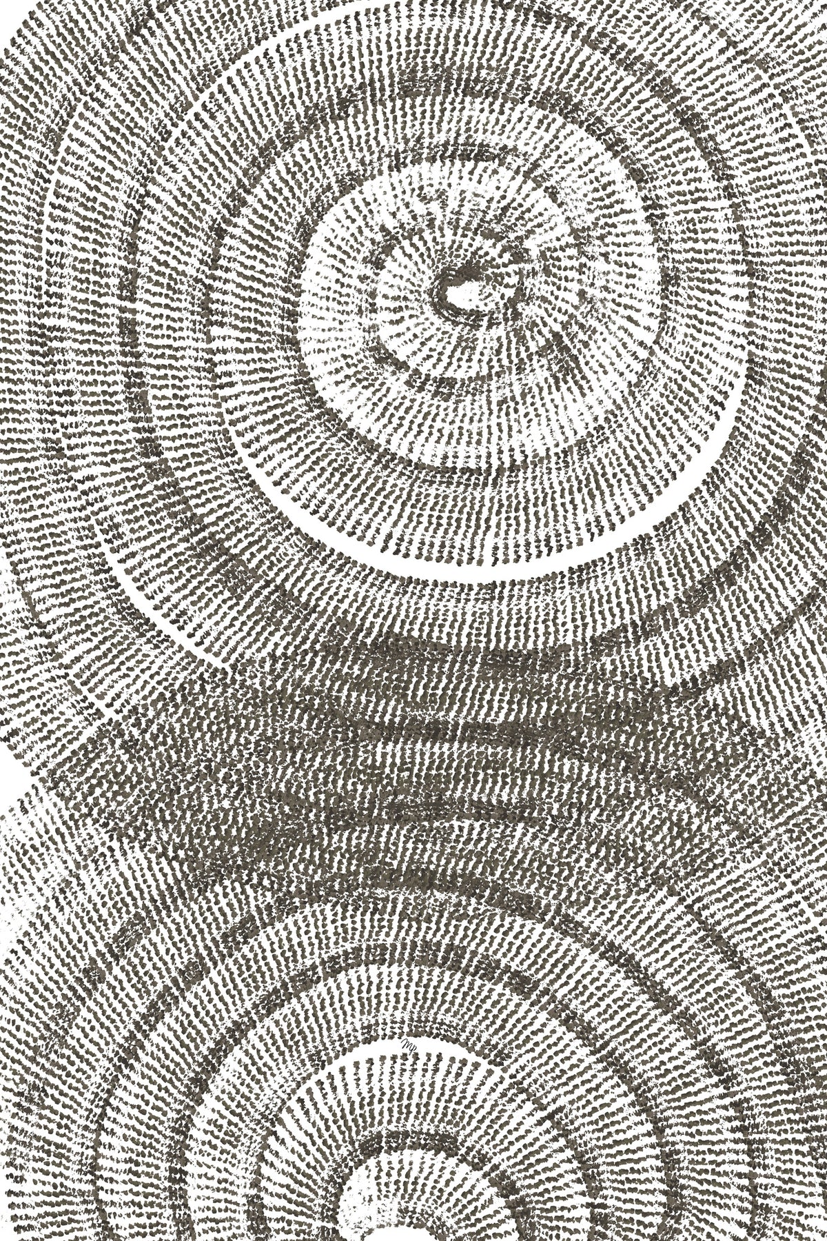 aluminium-print-tree-age