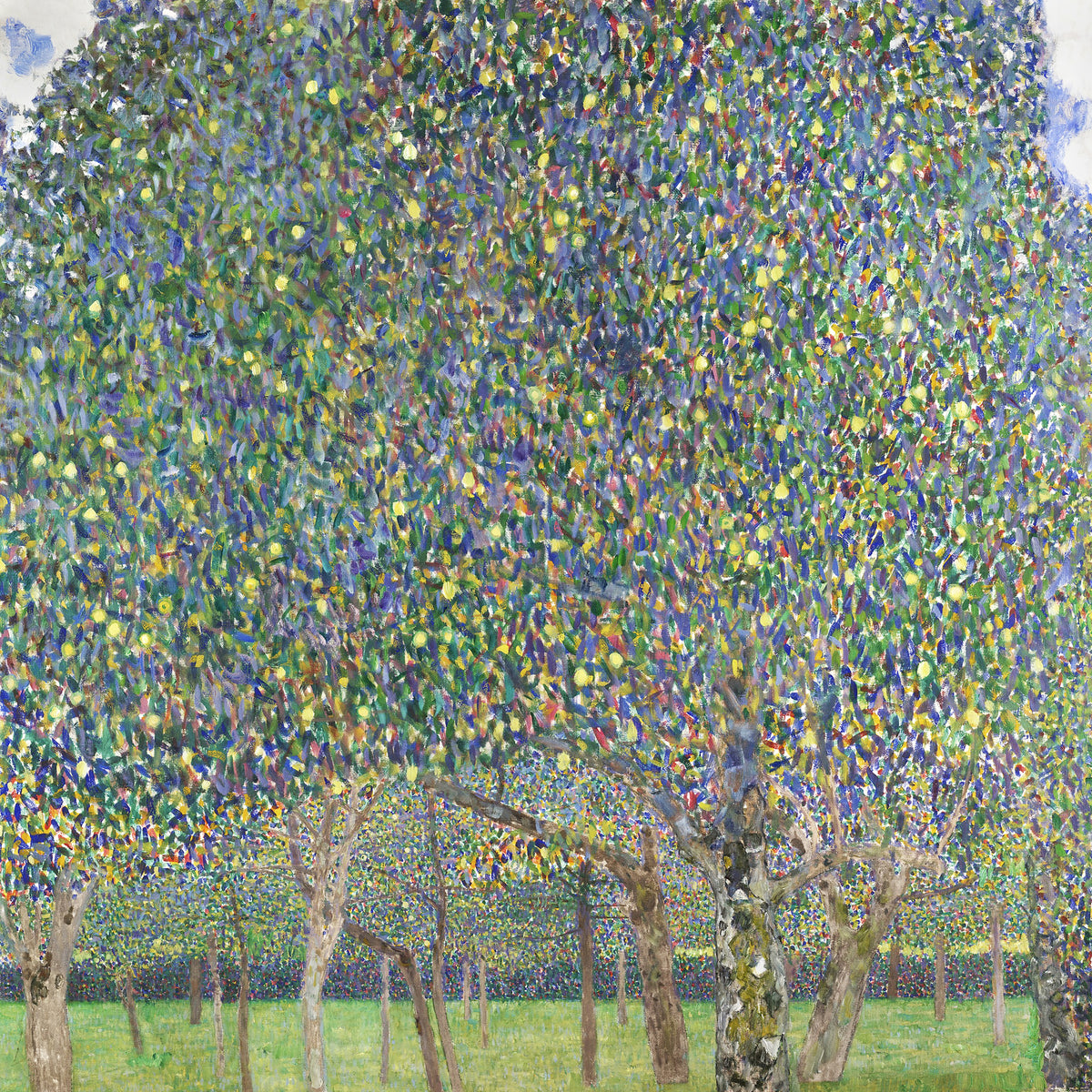 canvas-print-pear-tree-1903