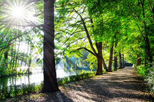 modern-3-piece-canvas-print-landscape-with-lake-in-the-backlight