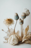 aluminium-print-ethereal-blossoms-4