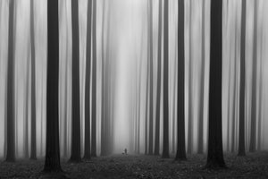 framedposter-print-labyrinth-2