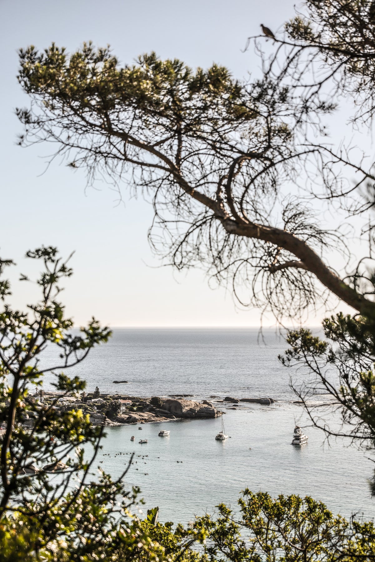 framedcanvas-print-hidden-shores