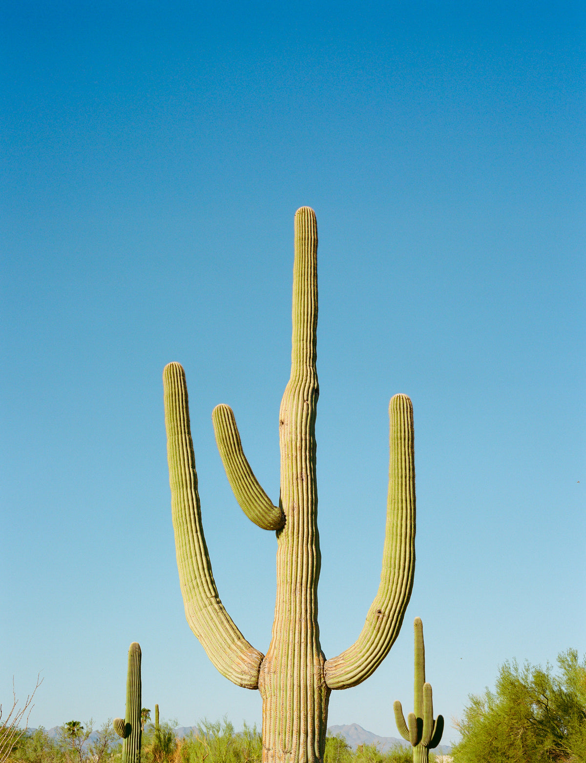 aluminium-print-tucson-arizona-iii-on-film