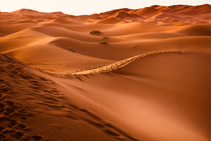 canvas-print-traces-in-the-desert