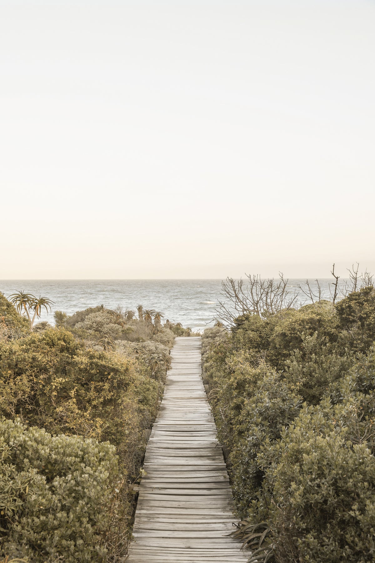 framedcanvas-print-pathway-to-tranquility