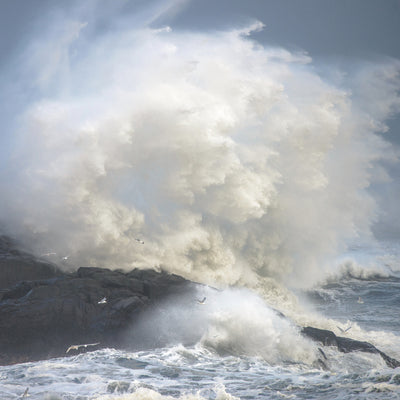 poster-print-storm-xcw