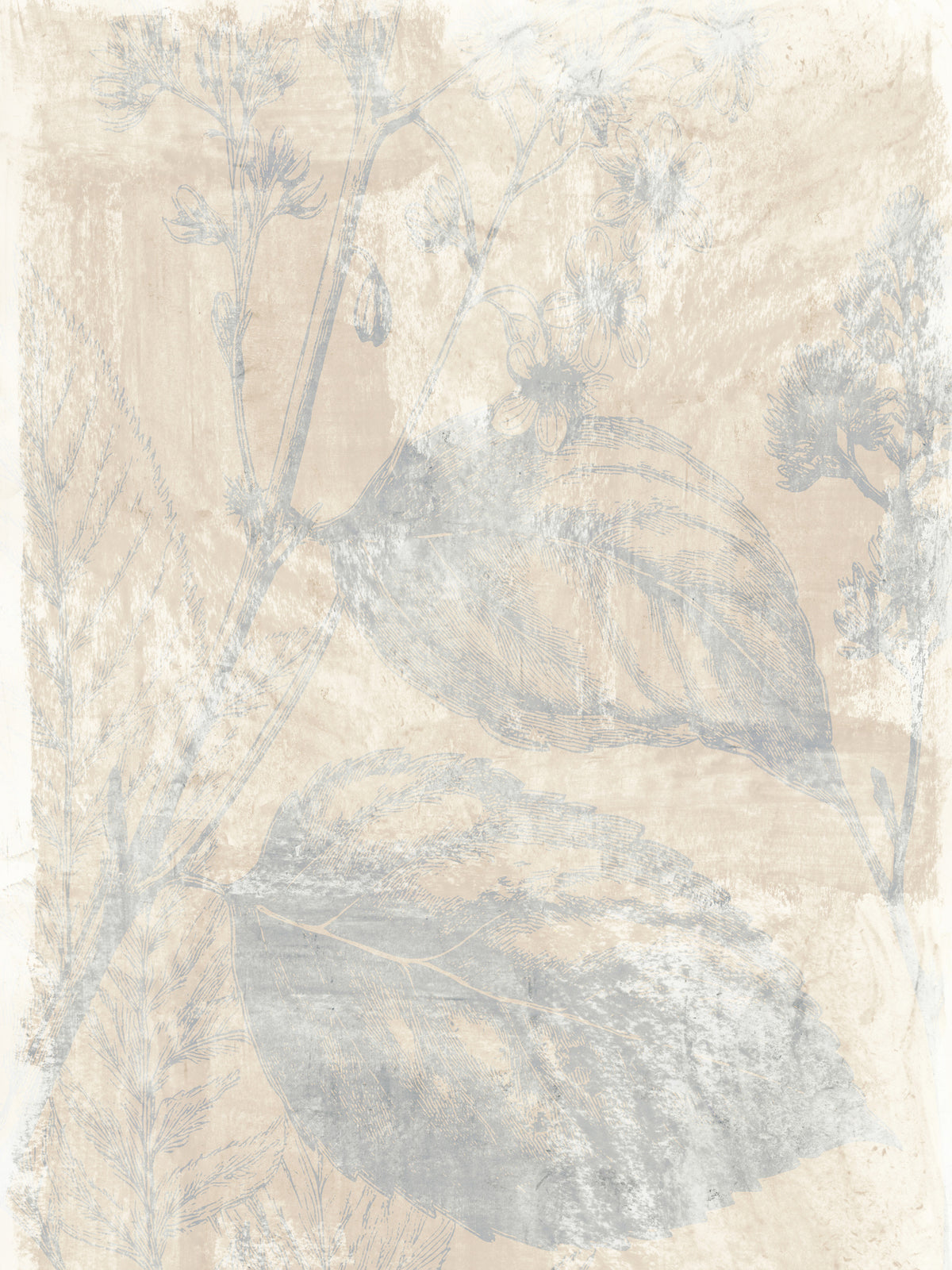 canvas-print-woodsia-1