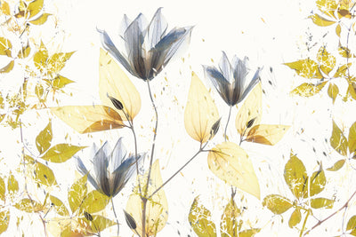 poster-print-spring-vibe