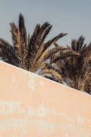 framedcanvas-print-palm-2