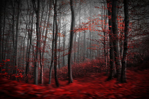 framedposter-print-bloody-river-x