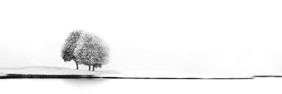 panoramic-poster-print-united-number-2
