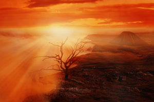 3-piece-canvas-print-colorful-landscape