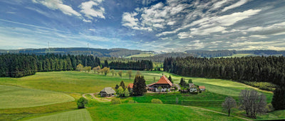 panoramic-poster-print-irgendwo-im-schwarzwald