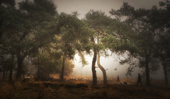 acrylic-print-foggy-memory-of-the-past-3