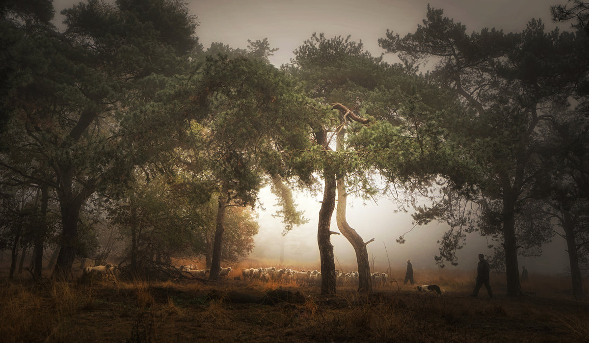 acrylic-print-foggy-memory-of-the-past-3