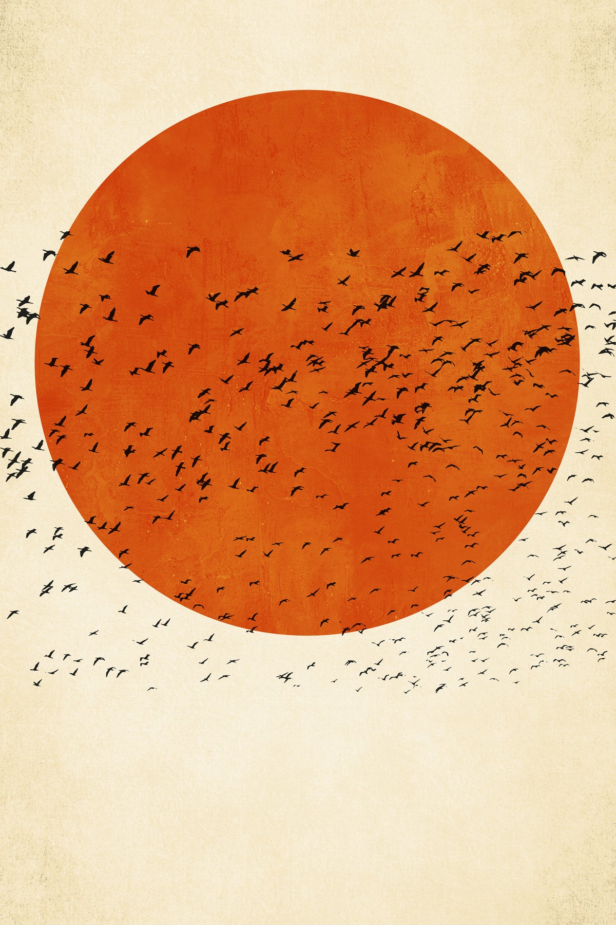 aluminium-print-birds-in-the-sun