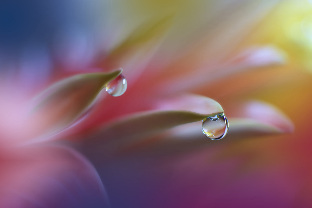 framedposter-print-sound-of-colors-x