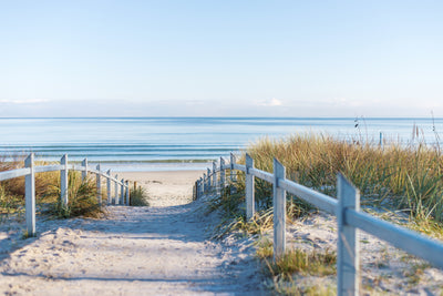 poster-print-ruegens-coast