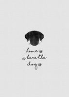 aluminium-print-home-is-where-the-dog-is