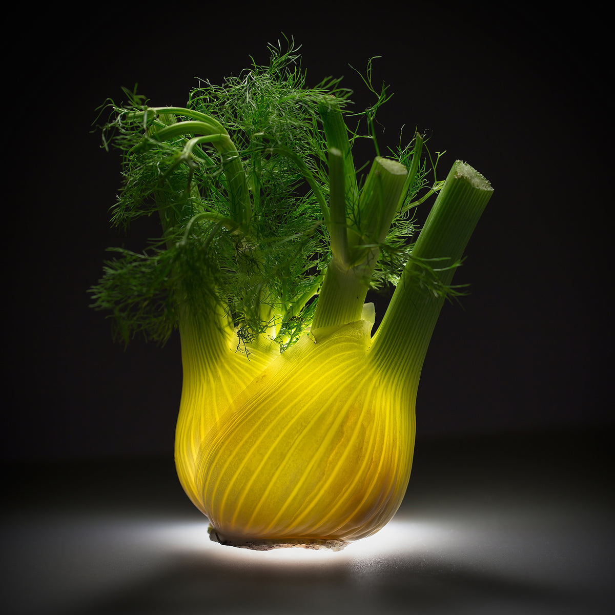 9-piece-acrylic-print-fennel