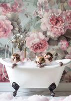 aluminium-print-blossom-bath