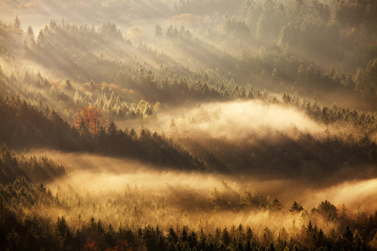 acrylic-print-autumn-rays-x