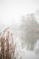 framedcanvas-print-at-the-lake