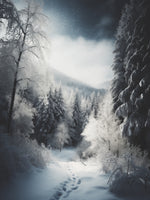 acrylic-print-beautiful-winter-no-3