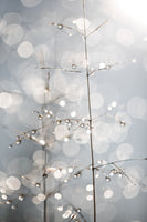 poster-print-natural-sparkle